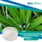 Aloe